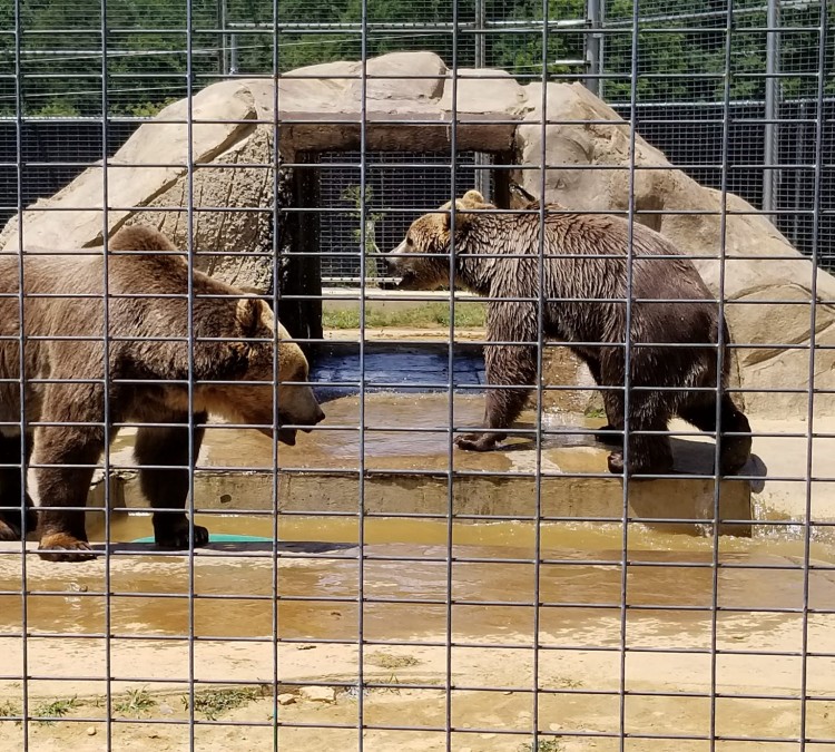Plumpton Park Zoo (Rising&nbspSun,&nbspMD)